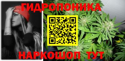 apvp Краснознаменск
