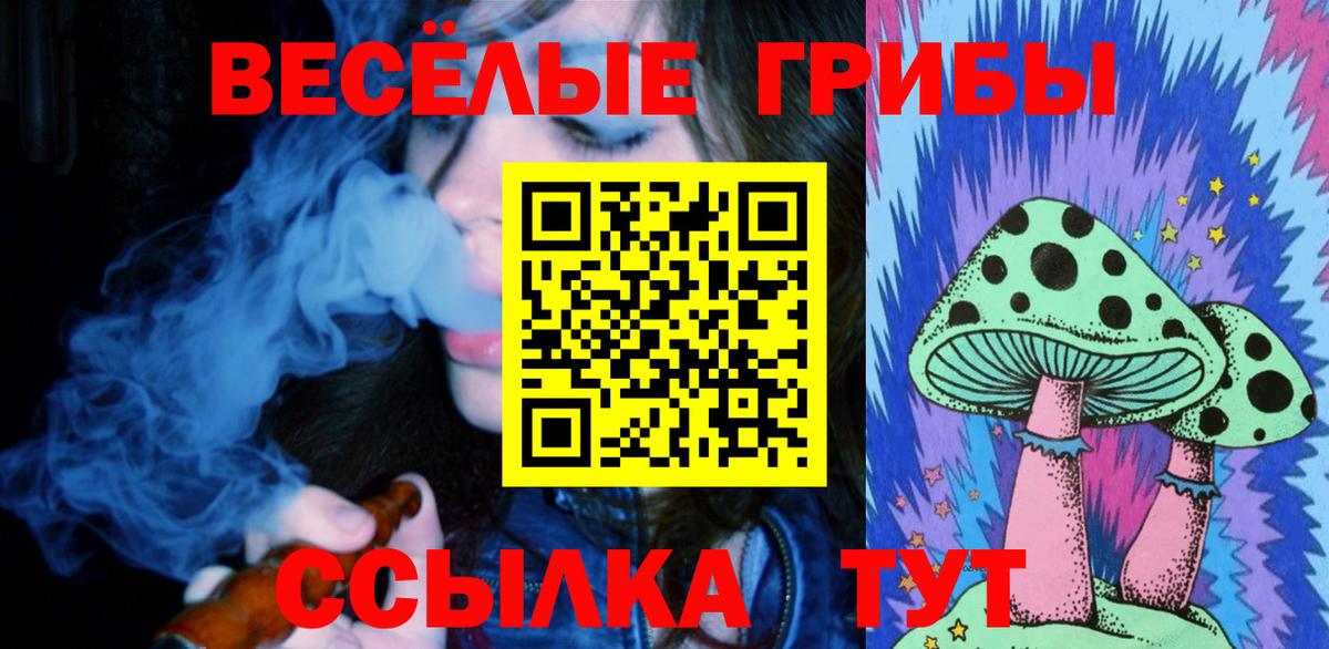 Галлюциногенные грибы мухоморы  Вход с VPN  продажа наркотиков  Кимры  Псилоцибиновые грибы MAGIC MUSHROOMS 